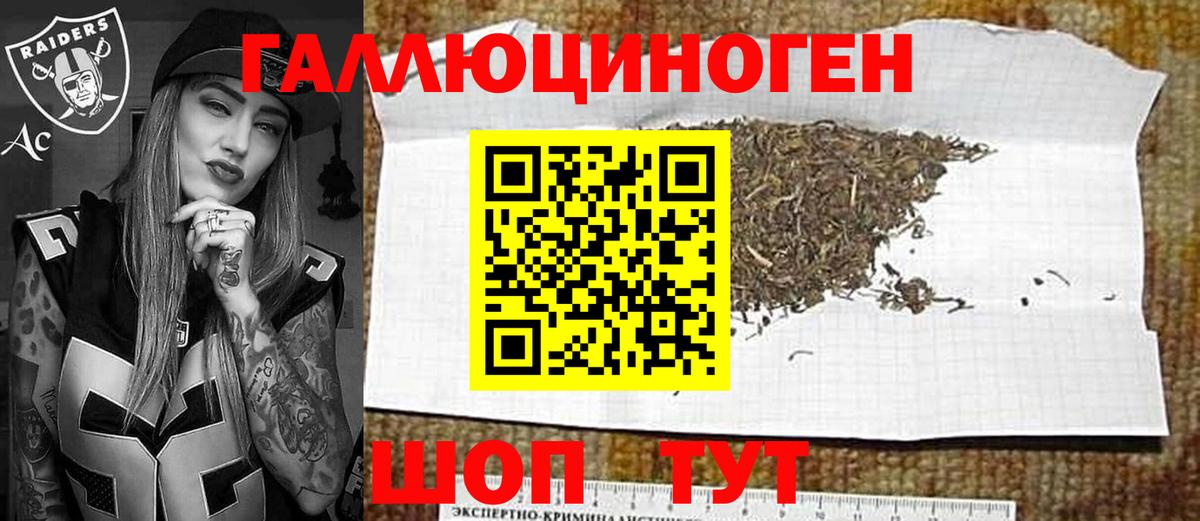 Псилоцибиновые грибы мицелий Тимашёвск
