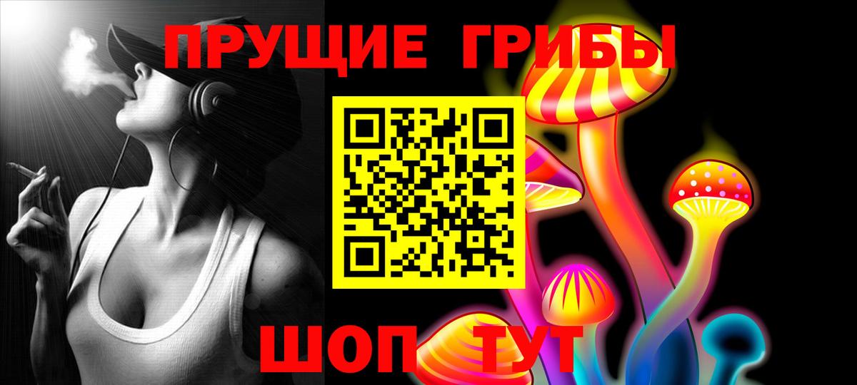 Псилоцибиновые грибы GOLDEN TEACHER  Вход с VPN  Тимашёвск 